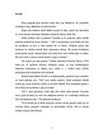 Referāts 'Metaforas Alesandro Bariko darbā "Zīds"', 3.