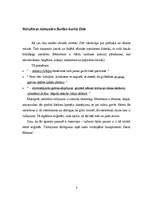 Referāts 'Metaforas Alesandro Bariko darbā "Zīds"', 4.