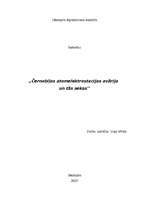 Referāts 'Černobiļas atomelektrostacijas avārija un tās sekas', 1.