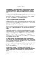 Referāts 'Černobiļas atomelektrostacijas avārija un tās sekas', 8.