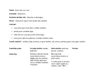 Konspekts 'Pirmsskolas integrētā nodarbība', 1.