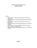 Eseja 'Pētnieciskās žurnālistikas piemēra analīze', 1.