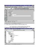 Konspekts 'Formas veidošana ar Developer2000 Forms', 10.