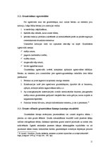 Referāts 'Gruntsūdens ietekme uz pamatiem un tās novēršana', 11.