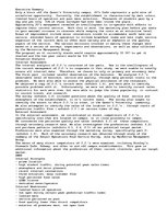 Eseja 'Marketing Plan', 1.