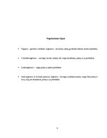 Referāts 'Vegetarizmas', 5.