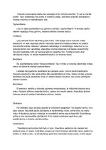 Konspekts 'Parketa grīdas segums', 4.