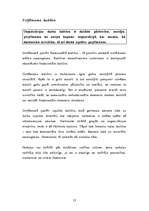 Referāts 'SIA "X" raksturojums', 13.