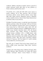 Referāts 'SIA "X" raksturojums', 19.