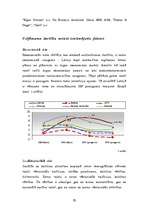 Referāts 'SIA "X" raksturojums', 20.