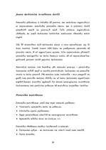 Referāts 'SIA "X" raksturojums', 26.