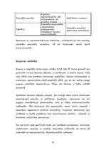 Referāts 'SIA "X" raksturojums', 28.