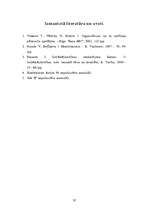 Referāts 'SIA "X" raksturojums', 32.