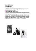 Referāts 'Romantisma iezīmes Aspazijas dzejā', 5.