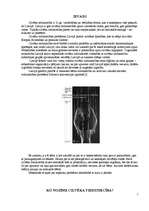 Referāts 'Cilvēku tirdzniecība Latvijā', 2.