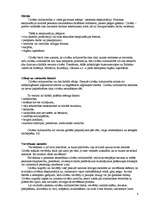 Referāts 'Cilvēku tirdzniecība Latvijā', 4.