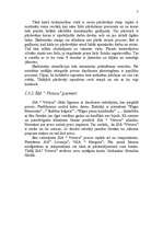 Referāts 'SIA "Virtava"', 7.