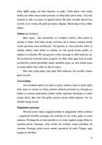 Referāts 'Latviešu nacionālā virtuve', 14.