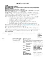 Prakses atskaite 'Integrēta stunda matemātikā 3.klasei', 1.