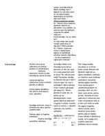 Prakses atskaite 'Integrēta stunda matemātikā 3.klasei', 3.