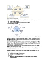 Konspekts 'Uzņēmējdarbības vadīšana. Jautājumi atkārtošanai', 5.
