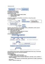 Konspekts 'Uzņēmējdarbības vadīšana. Jautājumi atkārtošanai', 12.