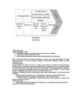 Konspekts 'Uzņēmējdarbības vadīšana. Jautājumi atkārtošanai', 25.