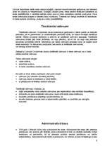 Referāts 'Tiesu varas sistēma Latvijā', 9.