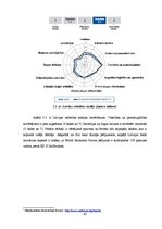 Diplomdarbs 'Eiropas Savienības struktūrfondu iespējas inovāciju īstenošanai Latvijas ekonomi', 43.