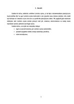 Referāts 'Limbažu rajona naktsmītņu raksturojums', 3.