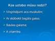 Prezentācija 'Acu krāsas ietekme uz redzi', 12.
