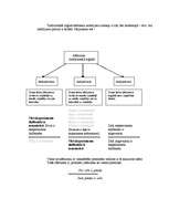 Konspekts 'Slēdzieni ', 6.