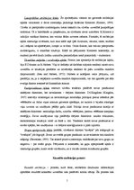 Referāts 'Atribūcijas teorija', 5.