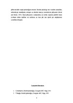 Referāts 'Atribūcijas teorija', 6.