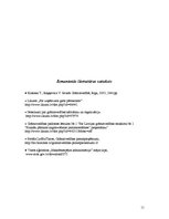 Referāts 'Grāmatvedības uzskaites principi', 11.
