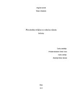 Referāts 'Pirmatnējās reliģijas un mākslas rašanās', 1.