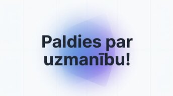 Prezentācija 'E-komercijas ietekme uz tradicionālo mazumtirdzniecību Latvijā', 16.