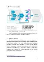 Referāts 'Zināšanu dzīves cikls', 5.