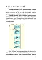 Referāts 'Zināšanu dzīves cikls', 9.