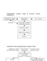 Referāts 'Grāmatvedības dokumenti, to noformēšana', 8.