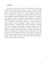 Referāts 'Mirstošs pacients un medmāsa', 6.