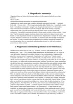 Konspekts 'Mugurkauls', 4.