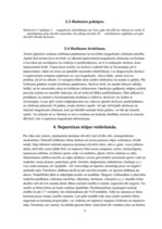 Konspekts 'Mugurkauls', 6.