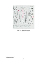 Konspekts 'Mugurkauls', 10.