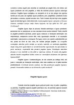 Referāts 'Tiesiskās attiecības no piegādes līguma', 4.