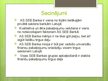 Prezentācija 'SEB bankas prakses atskaite', 9.