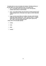 Prakses atskaite 'Prakses atskaite konditorejā', 17.