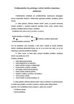 Eseja 'Problēmmācības kā patstāvīgas radošas darbības īstenošanas mehānisms', 1.