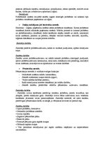Eseja 'Problēmmācības kā patstāvīgas radošas darbības īstenošanas mehānisms', 3.