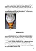 Referāts 'Speciālie alus veidi', 3.